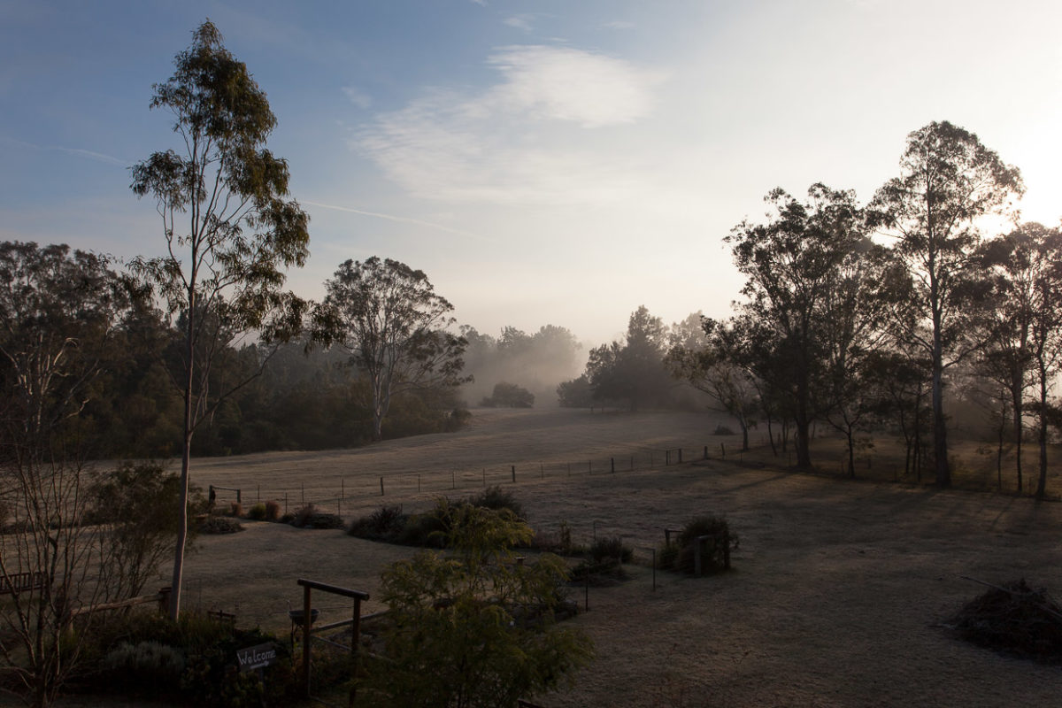 Morning in Kangaroo Valley
